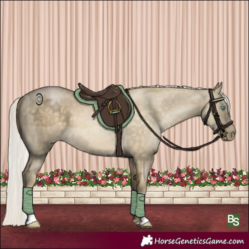 Horse Color:Silver Buckskin Pearl