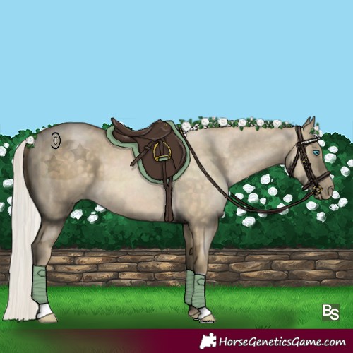 Horse Color:Silver Buckskin Pearl 