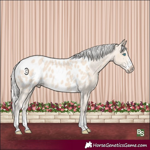 Horse Color:Silver Smoky Creme Blanket 