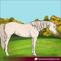 Horse Color:Perlino 