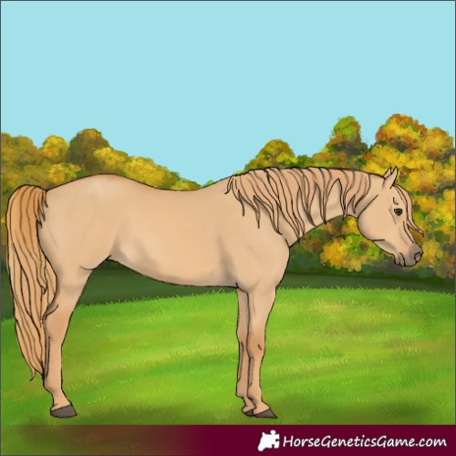 Horse Color:Red Dun
