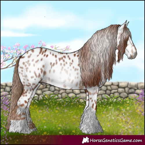 Horse Color:Gray Chestnut Tobiano Near Leopard 