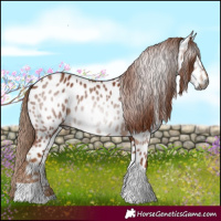 Horse Color:Gray Chestnut Tobiano Near Leopard