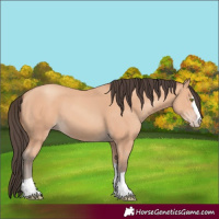 Horse Color:Amber Champagne