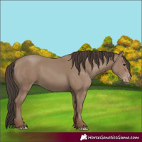 Horse Color:Classic Champagne 