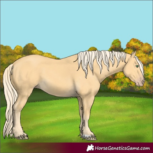 Horse Color:Gold Cream Champagne 