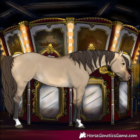 Horse Color:Buckskin Dun 