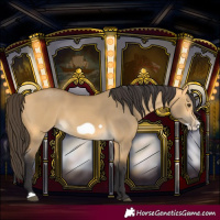 Horse Color:Buckskin Dun Frame 