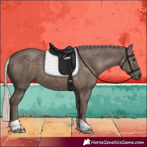 Horse Color:Silver Black 
