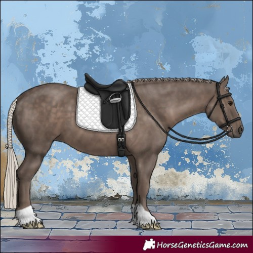 Horse Color:Silver Black
