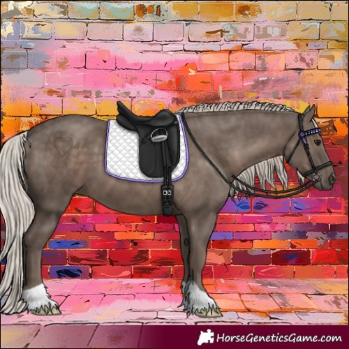 Horse Color:Silver Black 