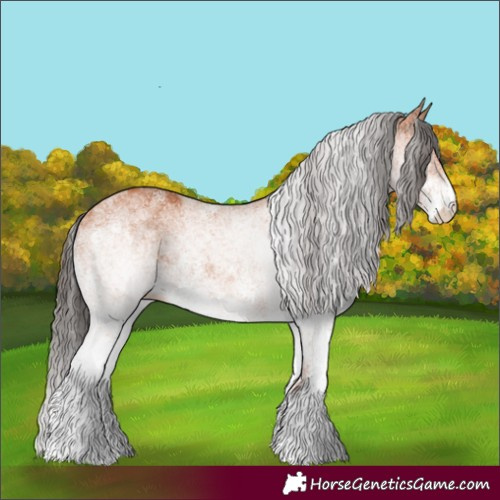 Horse Color:White Spotted Bay 