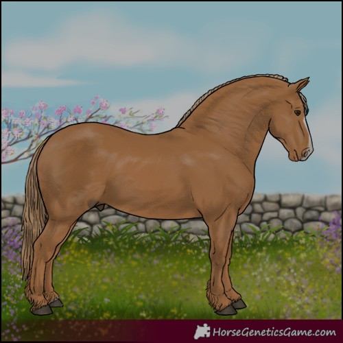 Horse Color:Chestnut Frame 