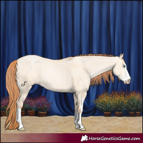 Horse Color:Amber Champagne Pearl Dun Sabino