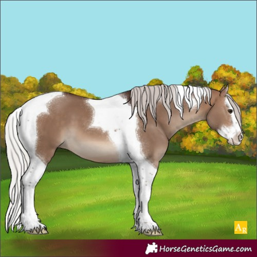 Horse Color:Silver Brown Dun Splash Tobiano