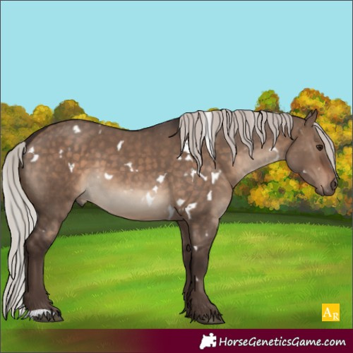 Horse Color:White Spotted Silver Brown Dun 