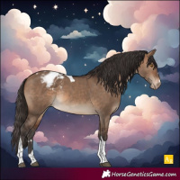 Horse Color:Brown Dun Tobiano Blanket Rabicano