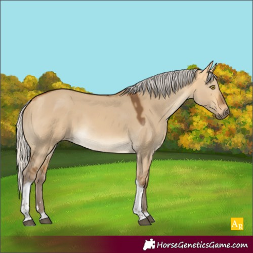 Horse Color:Silver Buckskin Dun Tobiano