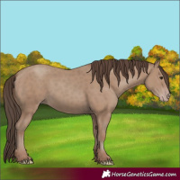 Horse Color:Classic Champagne 