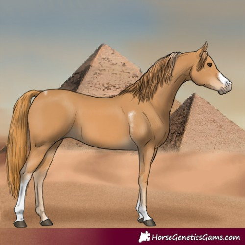 Horse Color:Chestnut Tobiano Frame