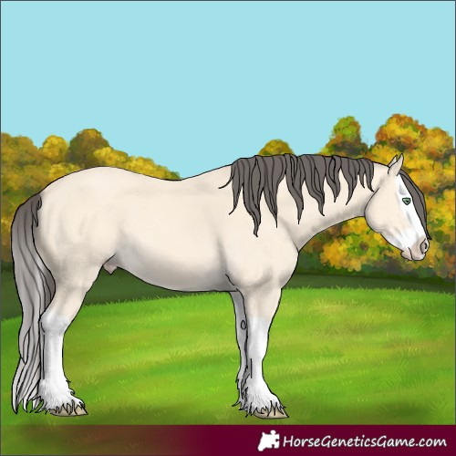 Horse Color:Amber Cream Champagne Splash