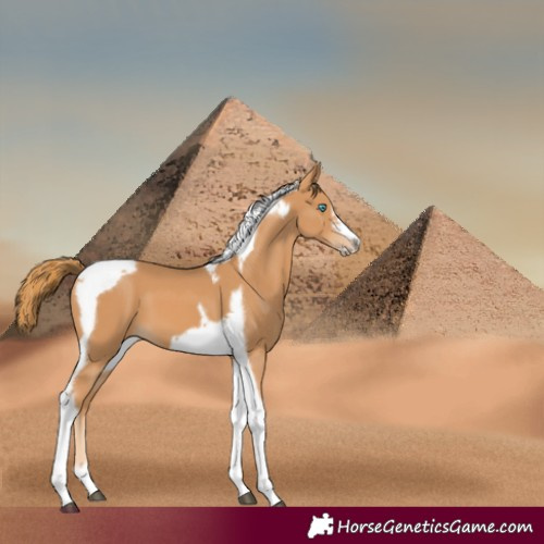 Horse Color:Chestnut Tobiano Frame 