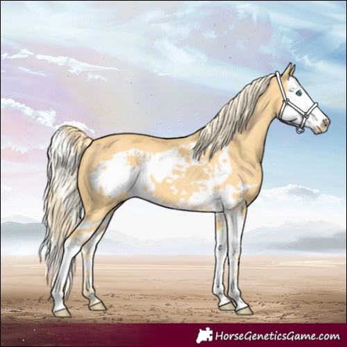 Horse Color:Palomino Dun Splash Frame 