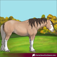 Horse Color:Amber Champagne Splash