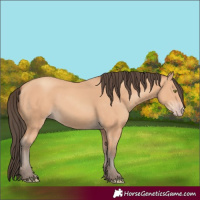 Horse Color:Amber Champagne 