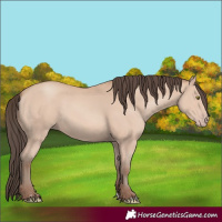 Horse Color:Amber Champagne 