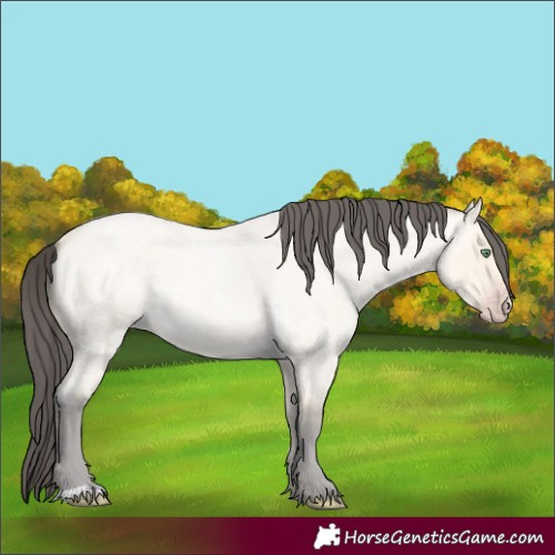 Horse Color:Amber Cream Champagne Roan