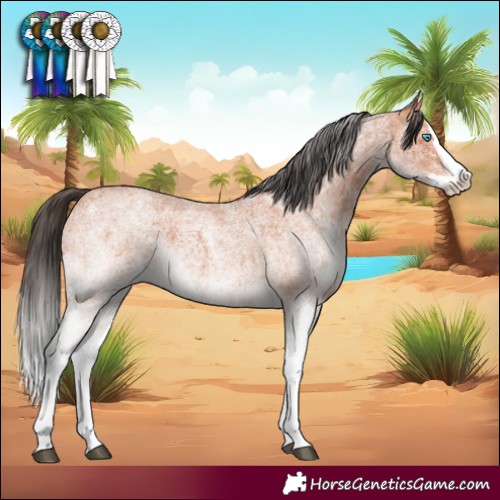 Horse Color:White Spotted Bay Roan Splash  and White Spotted Bay Roan Splash 