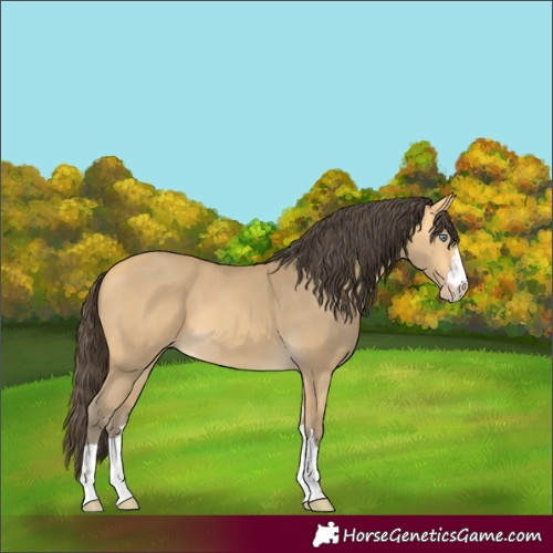 Horse Color:Amber Cream Champagne 