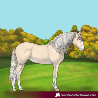 Horse Color:Gold Cream Champagne