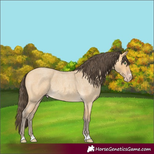 Horse Color:Amber Cream Champagne Roan Rabicano