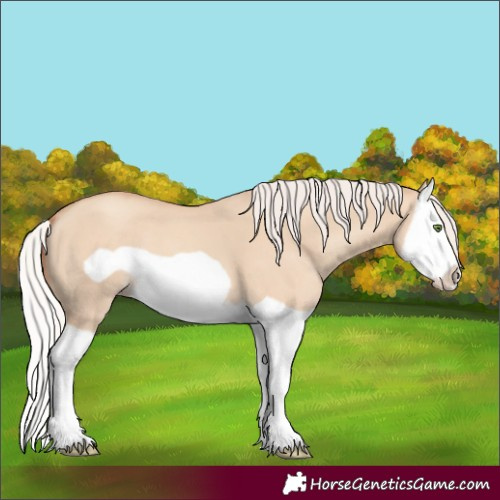 Horse Color:Silver Classic Champagne Dun Splash Frame 