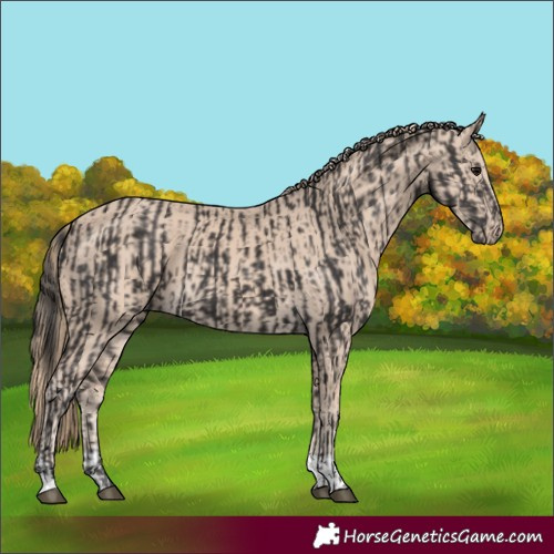 Horse Color:Smoky Black  and Smoky Creme 