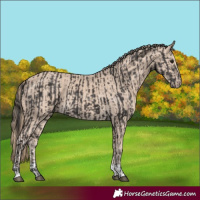 Horse Color:Smoky Black  and Smoky Creme 