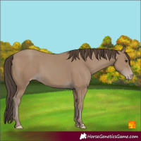 Horse Color:Classic Champagne 