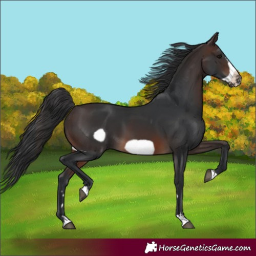 Horse Color:Brown Frame