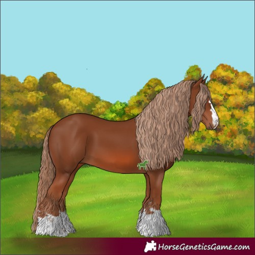 Horse Color:Chestnut 