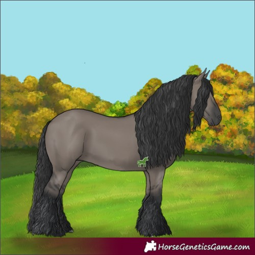 Horse Color:Grullo 