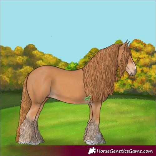 Horse Color:Chestnut 