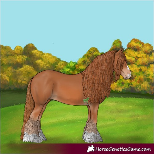 Horse Color:Chestnut 