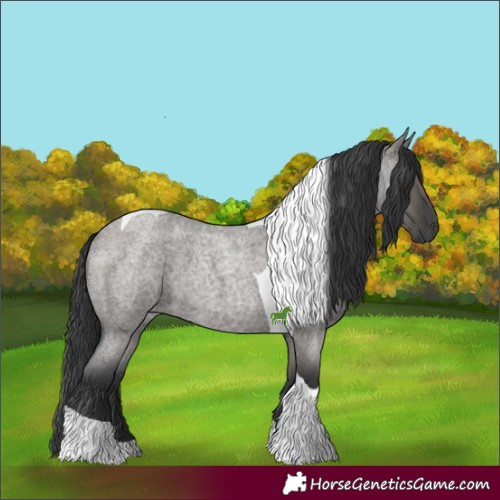 Horse Color:Grullo Roan Tobiano 