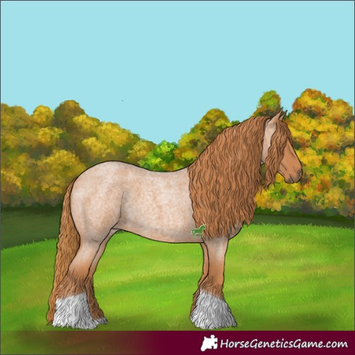 Horse Color:Red Roan Tobiano 