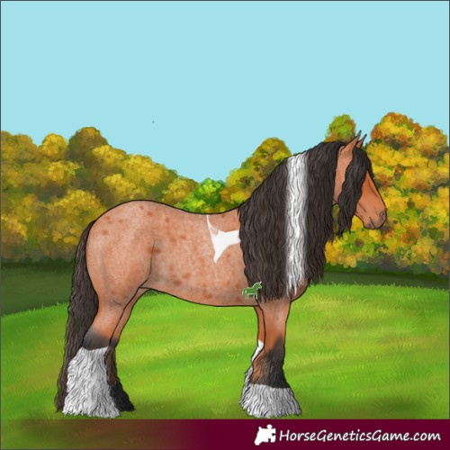 Horse Color:Bay Roan Tobiano 