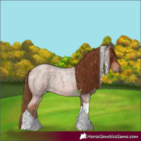 Horse Color:Red Roan Tobiano 