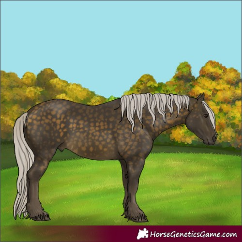 Horse Color:Silver Buckskin 