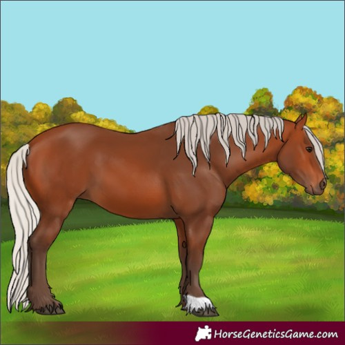 Horse Color:Silver Bay